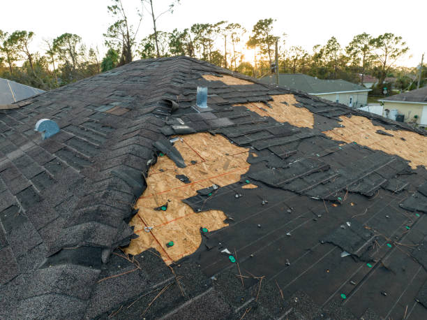 Best Roof Insulation Installation  in Cambridge, WI