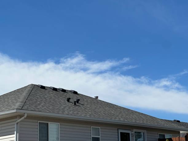 Best Roof Inspection  in Cambridge, WI